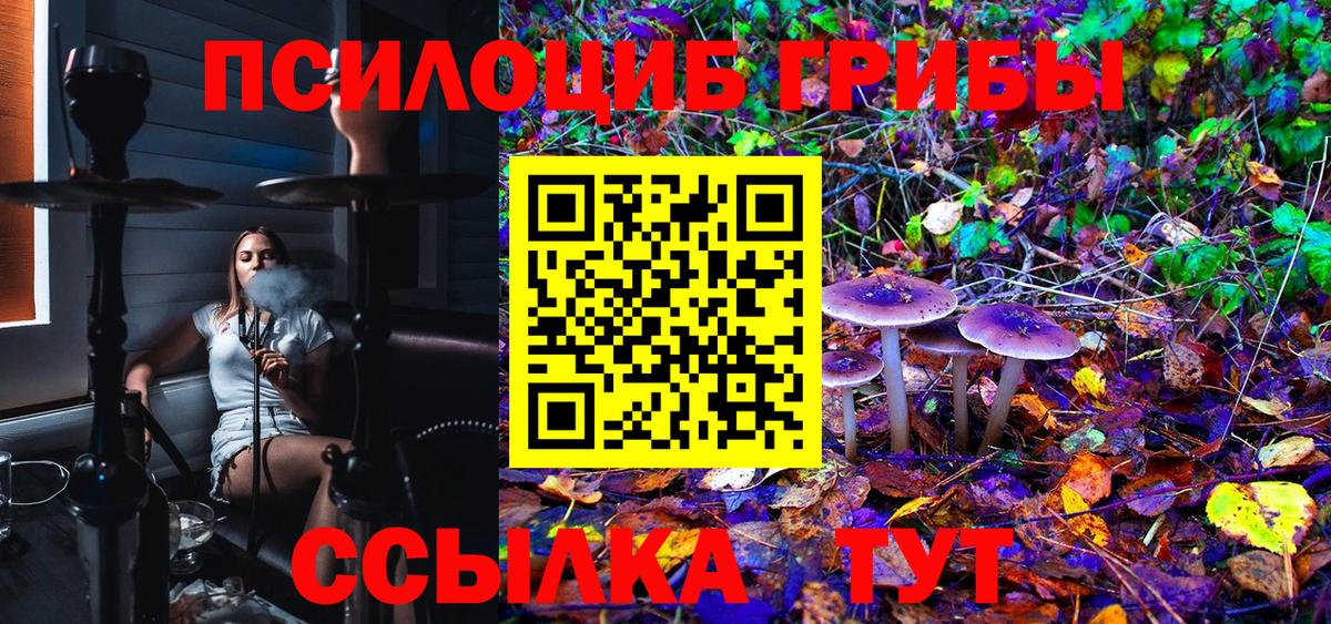 Псилоцибиновые грибы Cubensis Партизанск