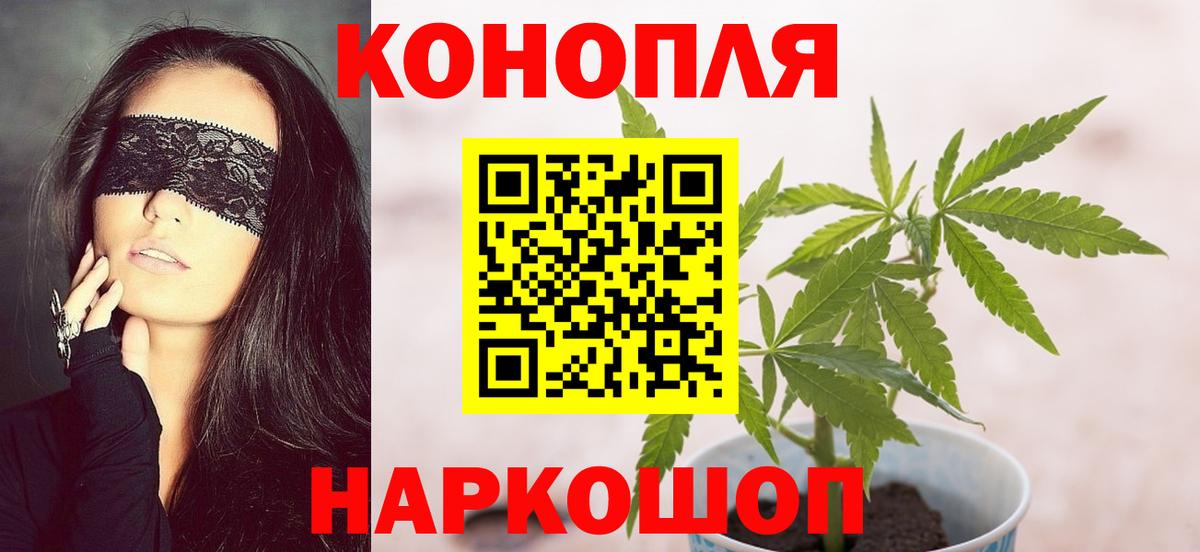 Бошки Шишки гибрид Партизанск